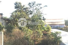 200m2lô mở bán 4 nền đất giá rẻ hạt dẻ cách trung tâm 15km