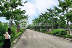 Lịch sử chưa ghi nhận ca nào đầu tư đất nền ở thành phố mà không tăng giá tốt.