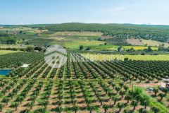 Chính chủ gửi bán lô đất vuông vức có đường đất trên sổ ngay nút giao ngã 4 liên huyện giá tuyệt đẹp