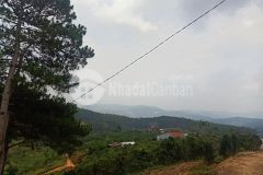 Quỹ đất lớn cách trung tâm đà lạt khoảng 19km có thể làm khu du lịch sinh thái