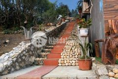 Bán mảnh đất 800m2 homesstay có 4 phòng sẵn chỉ việc khai thác giá căt lỗ