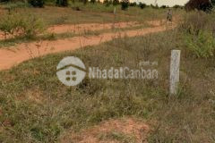 Bán 7822m2 đất nông nghiệp hồng thái cách quốc lộ 1km chỉ 704 triệu lh 0938677909 hiền