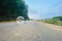 Mặt tiền hương lộ 62 xã diên tân cần bán giá rẻ lh 0788.558.552