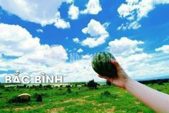 1000m2 đất hồng thái garden chỉ với 70 triệu. lh 0919 626 750 ngay từ hôm nay