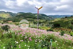 Khu đất đang được sự quan tâm lớn từ các nhà đầu tư sài gòn, hà nội