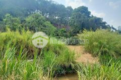 6000m2 đất lớn đèo mimosa giá 1 tỷ 1 xào sông suối rừng thông hội tụ đầy đủ