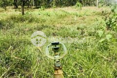 Cần ra gấp 2 lô đất sào ngay sân bay long thành,sổ sẵn.