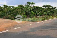 77. cần bán lô đất đường lê thị riêng