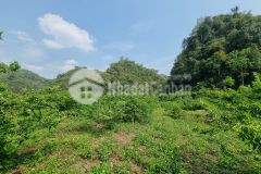 Mảnh đất cực đẹp tại mộc châu sơn la, diện tích 3850m2 thích hợp dựng homestay, farm