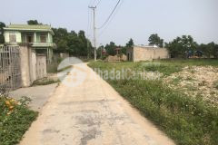 Đất gio linh, gio quang, quảng trị