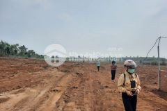 Bán siêu phẩm gần sân bay long thành. giá 800tr sào