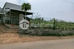 Cần tiền bán gấp sào đất tại trảng bom, sau cụm kcn hưng thịnh