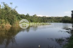 Đa re lai con đep co hô,co đương,co nguôn thu