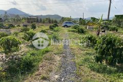 78. cần bán lô đất 5500m2 xã đại lào