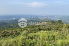 80. cần bán lô đất 2600m2 xã đại lào