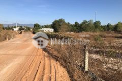 Bán đất 3100m 1,5 tỷ hàm đức, hàm thuận bắc, ql 1a sân bay