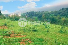 Bán đất hòa sơn, lương sơn, hòa bình với dt 23.700m view cao thoáng, giá đầu tư