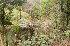 Bán đất hòa sơn lương sơn hòa bình dt 7451m2 có 400 đất ở, view cánh đồng thoáng mát.