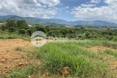 82. cần bán lô đất đường đinh công tráng