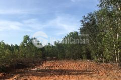 Tin nóng sang gấp lô đất cách sân bay phan thiết 5km cam kết chính xác