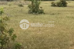 Chủ cần tiền nên cần bán gấp lô đất đẹp diện tích 6921m2 giá chỉ 70km