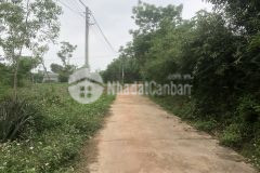 Mở bán lô đất lavang hải phú hải lăng quảng trị 0941076225