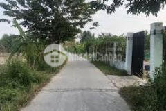 Thị xã bình long bình phước lô gốc 3 mặt tiền đường giá rẻ 1000m2, sổ sẵn, có thổ cư