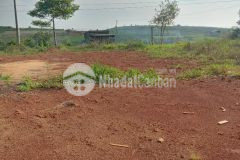 84. cần bán lô đất 650m2 đường lý thái tổ