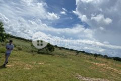 Bán 6930m2 đất nông nghiệp hồng thái, bắc bình sổ sẵn 485tr to đẹp lh 0938677909 hiền