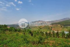 Sang nhượng 2ha đất xã tà nung thành phố đà lạt