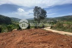 Tôi cần bán đất ngoại ô đà lạt, 600m2 đất thổ cư.