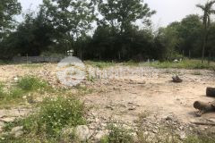 Mua bán nhà đất quảng trị cần bán lô đất gio linh gần khu công nghiệp quán ngang lh 0389698986