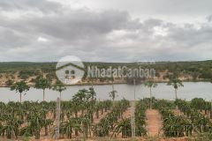 Còn duy nhất 1 lô giá 60km2 thích hợp làm trang trại