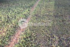 Bán 9511m2 đất vườn phan thanh, bắc bình vuông đẹp view khu thanh long giá chỉ 903tr lh 0938677909