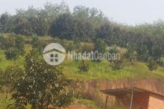 Bán 8943m2 đất nông nghiệp bắc bình, bình thuận gần đường liên huyện 715tr lh 0938677909 hiền