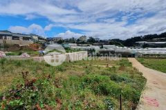 Hiện có 4 lô đất xây dựng đường ô tô 5m, khách mua tặng giấy phép xây dựng, view thoáng, phường 5, đ