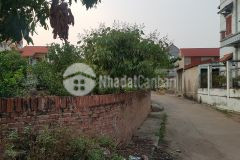 Đất ven khu công nghiệp 300 m2 bắc giang 1.2 tỷ