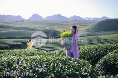 Bán mảnh đất nghỉ dưỡng 876m2,hai mặt tiền,bản búa, mộc châu, sơn la