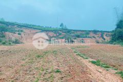 Cần tiền bán nhanh mảnh đất tại nông trường mộc châu