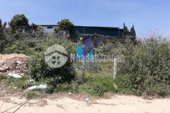 Bán đất đường võ trường toản p8 tp. đà lạt