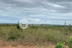 Bán 4169m2 đất nông nghiệp hồng thái, bắc bình sổ sẵn cách liên huyện 120m lh 0938677909 ms hiền