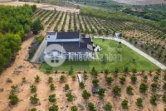 Bán lô đất 7425m2 giá 594 triệu đồng, lh 0901.078.257