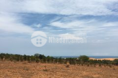 Bán 7012m2 đất nông nghiệp ven biển hoà thắng ngay khu resort cách biển 2km lh 0938677909 hiền