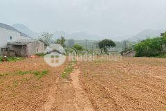 Bán mảnh đất 4000m2 thị trấn nông trường mộc châu