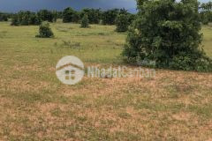 Bán lô đất siêu rẻ nằm ở xã hồng thái giá 485tr diện tích 6921m2 công chứng ngay