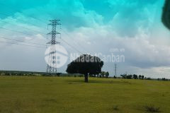 Bán 17,062m2 đất nông nghiệp hoà thắng, bắc bình chỉ 95km2 lh 0938677909 hiền xem sổ