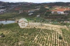 Đất đông thanh, view lưng chừng đồi và hồ cực đẹp, sổ hồng có thổ cư.