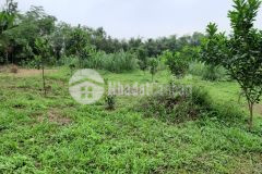 Bán đất nhuận trạch lương sơn hòa bình dt 11,141m có 400m đất ở.