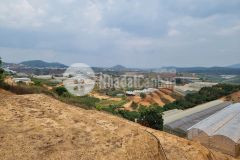 2,4 tỷ sở hữu ngay lô đất gần 800m2 tại xuân thọ, đà lạt