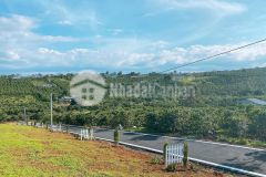 Đất nghĩ dưỡng view đẹp tại thành phố sương mù bảo lộc lâm đồng